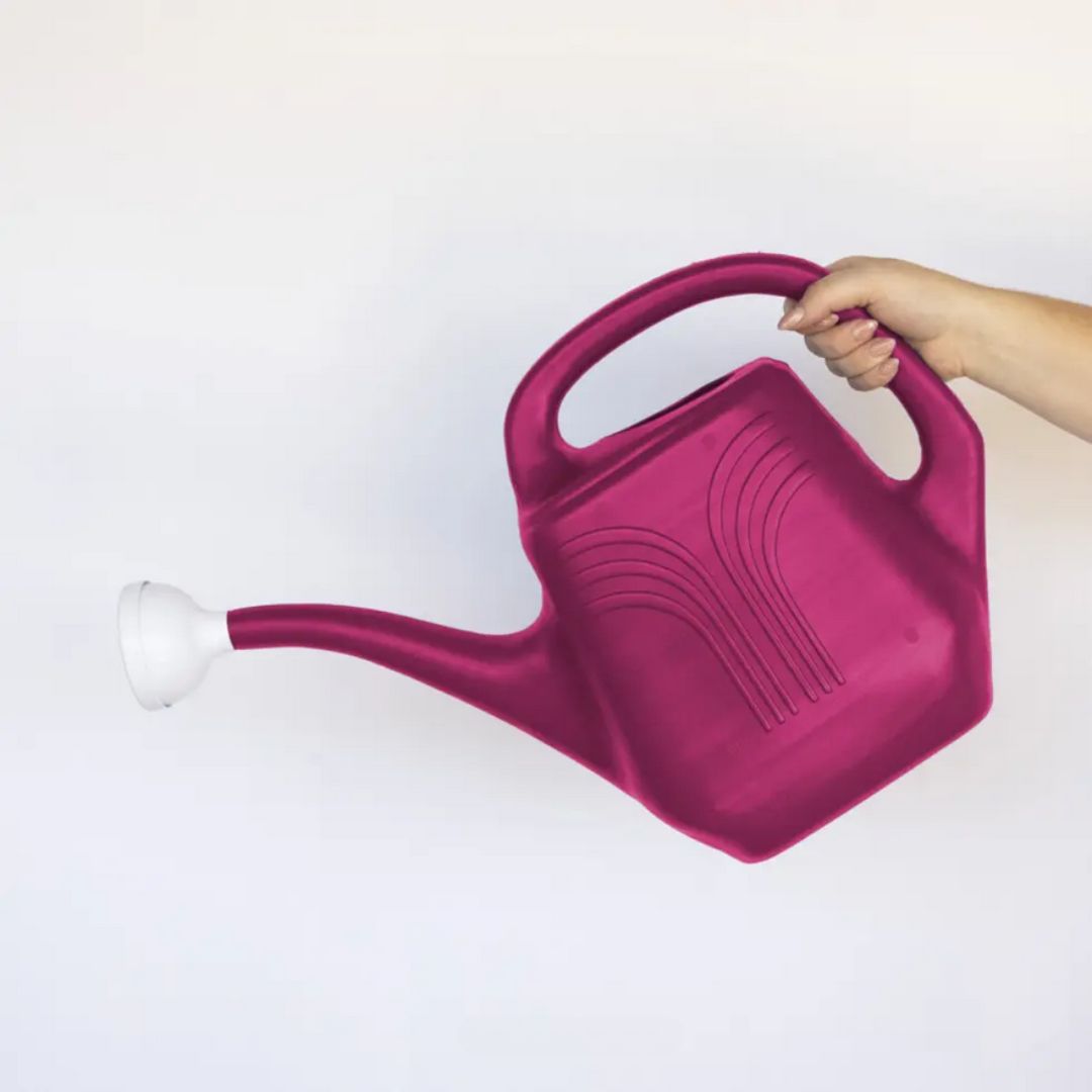 Classic Watering Can – Fuchsia – 2 Gal